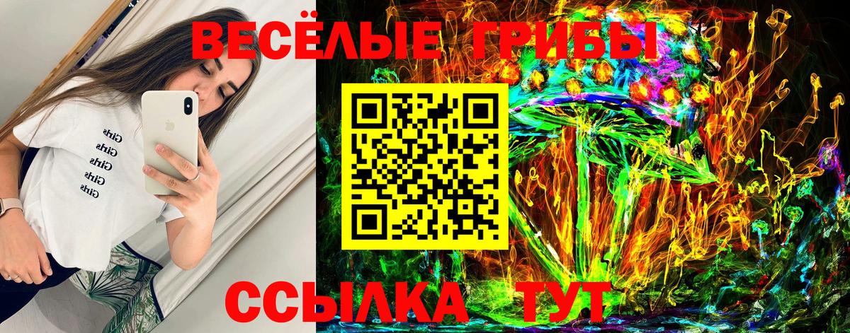 Псилоцибиновые грибы ЛСД Балтийск